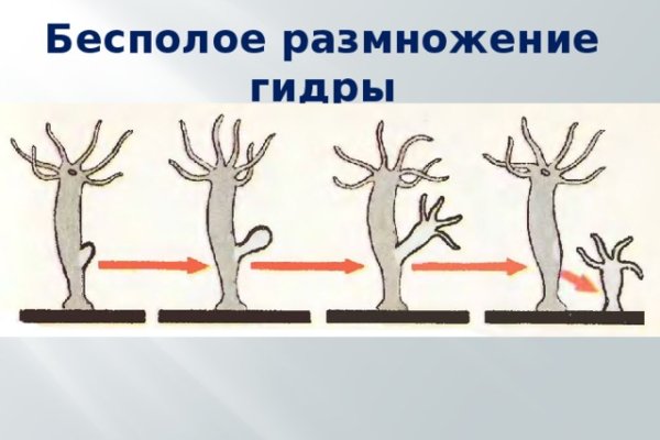 Кракен как проверить зеркало