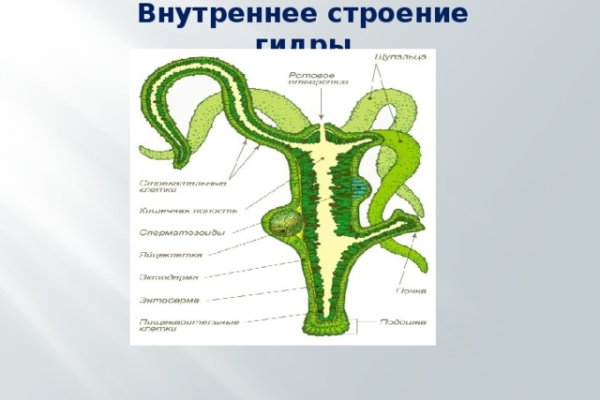 Рабочее зеркало кракен