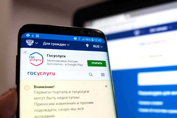 Рабочее зеркало на кракен