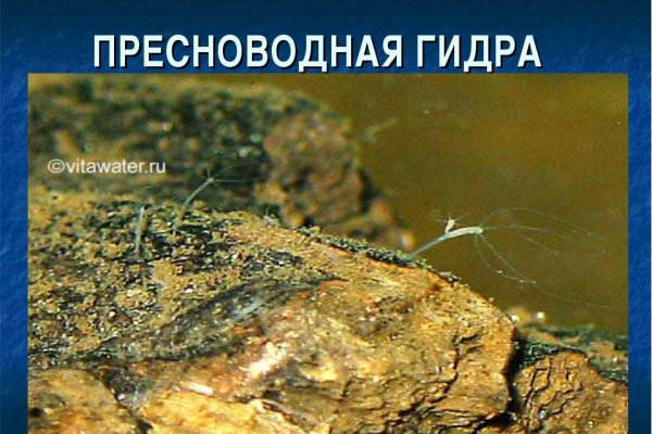 Кракен наркошоп сайт