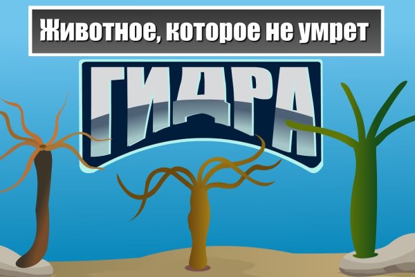 Кракен даркнет слушать