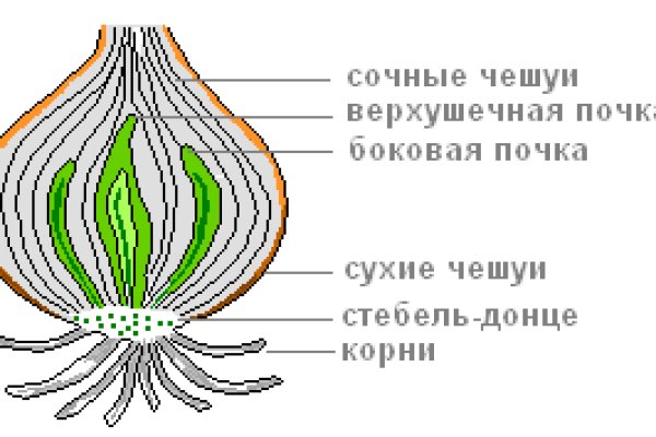 Вход в кракен даркнет