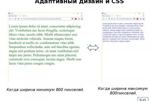 Прямая ссылка на кракен